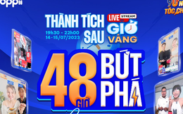 Bán hàng trên Livestream, thành tích doanh thu ấn tượng của thương mại điện tử