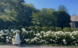 Khu vườn đẹp như cổ tích ở Mỹ, chủ nhân được dân mạng gọi là “nàng tiên hoa”