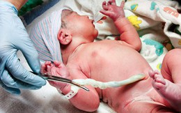 Lưu trữ tế bào gốc cuống rốn của bé ngay sau khi chào đời là gì?