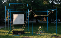 &quot;The Grass Ceiling - Tác phẩm &quot;Trần nhà cỏ&quot; của nghệ sĩ Việt Nam Vince Phan tại Mỹ và lời xin lỗi cỏ cây đáng suy ngẫm 