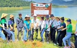 Manulife thực hiện cam kết góp trồng 4.000 cây rừng, khép lại chiến dịch cùng bạn sống khỏe thành công