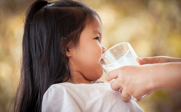 Bé 1 tuổi không chịu uống sữa tươi hay sữa công thức thì làm sao cung cấp đủ dưỡng chất cho con?