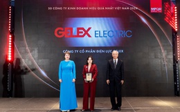 2 công ty con của GELEX vào Top 50 Công ty kinh doanh hiệu quả nhất Việt Nam 2024