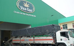 King Green - Doanh nghiệp trúng gói thầu 33.500 tấn gạo của Indonesia là ai?