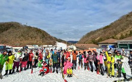 Saigontimes Travel - Nhà tổ chức tour du lịch uy tín 2024