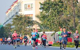 Top trải nghiệm “vui quên lối về” tại “Ngày Hội Xanh” 2024