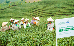 Cỏ Cây Hoa Lá: "Quyết tâm mang tinh hoa Trà Việt vào mỹ phẩm thiên nhiên"
