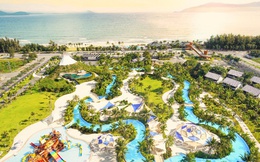 Khám phá thiên đường vui chơi giải trí hoành tráng bậc nhất Đà Nẵng - Công viên nước Mikazuki Water Park 365