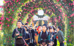 Nghỉ lễ 30/4: Hàng ngàn người lên Fansipan trốn nóng và tham gia Lễ hội hoa hồng 2024