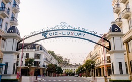 Sức hút của nhà phố thương mại CIC Sky Luxury Lào Cai tại phố nhà giàu Lào Cai