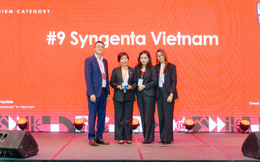 Syngenta Việt Nam là nơi làm việc xuất sắc hàng đầu Việt Nam