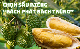 Mẹo lựa sầu riêng ngon đúng chuẩn nhà vườn &quot;bách phát bách trúng&quot;