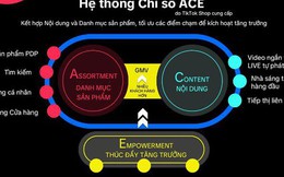 Thương hiệu đầu tư vào TikTok tăng nhanh từ Hệ thống chỉ số ACE