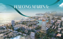 Halong Marina: Hành trình kiến tạo “báu vật” nghỉ dưỡng bên vịnh di sản