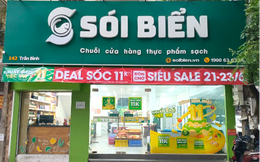 Khuấy đảo tiệc vui mừng sinh nhật Sói Biển 11 tuổi