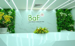 BaF Việt Nam: Thông tin về việc bị xử phạt hành chính và cổ phiếu ESOP phát hành chưa thành công