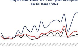 Cơ hội nào giữa con sóng cổ phiếu vốn hóa nhỏ?