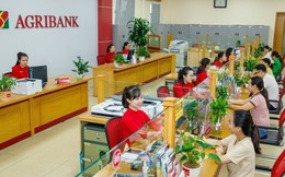 Agribank phát hành 10.000 tỷ đồng trái phiếu ra công chúng năm 2024