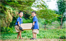 Gặt quả ngọt từ phương pháp giáo dục chú trọng trải nghiệm thực tiễn tại trường Pathway Tuệ Đức