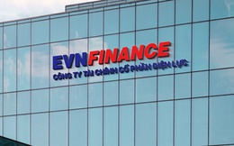 EVNFinance báo lãi 310,6 tỷ đồng 6 tháng đầu năm 2024