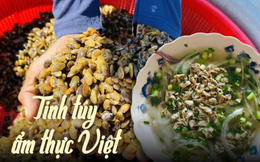 Mùa don về trên sông Trà Khúc - đặc sản &quot;độc bản&quot; gây thương nhớ bao tín đồ ẩm thực của vùng Quảng Ngãi