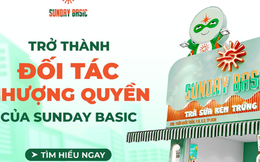 Sunday Basic – Lựa chọn hoàn hảo cho những nhà đầu tư mới bắt đầu