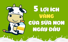 5 lợi ích vàng của sữa non ngày đầu