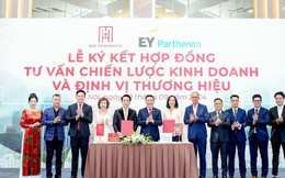 Bảo Tín Mạnh Hải bắt tay cùng EY-Parthenon và NEWing - khẳng định vị thế tiên phong