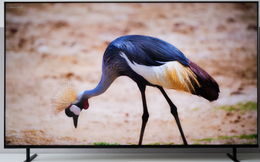 Vì sao TV Sony BRAVIA là lựa chọn hàng đầu để xem phim dịp Tết này?