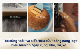 Cần làm gì khi tóc &quot;đói&quot; protein?