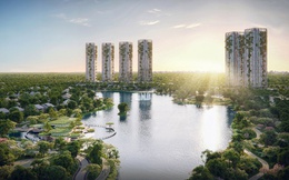 Nhà sáng lập Ecopark ra mắt Eco Retreat – khu rừng retreat tiên phong tại Việt Nam