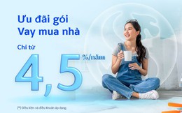 Ngân hàng Shinhan ưu đãi lãi vay tiêu dùng trọn gói chỉ từ 4.5% năm