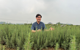 CEO Kiều Đình Lương - Khát khao phát triển các sản phẩm thảo dược dùng cho cả gia đình