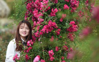 Vườn hoa đẹp, Tin tức, hình ảnh và video mới nhất về Vườn hoa đẹp ...