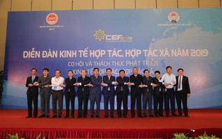 kèo cá cược nhà cái, hợp tác xã cần theo xu hướng của thế giới