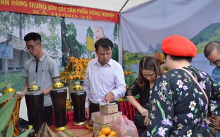 kèo cá cược nhà cái trong lĩnh vực phi nông nghiệp sau 15 năm thực hiện Nghị quyết số 13
