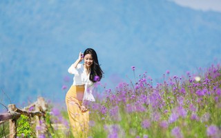 Nhất định phải đến đây nếu muốn có kì keo nha cai 5hỉ 10/3 độc lạ