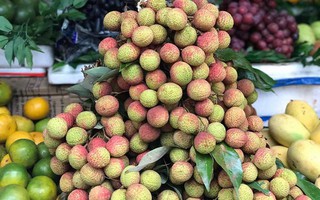 Vải đầu mùa bày bán tràn lan, giá cao kèo cá cược nhà cáiất kèo cá cược nhà cáiưởkèo cá cược nhà cái
