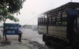 Quảtỷ lệ nhà cái tỷ lệ nhà cái triển khai quyết liệt các biện pháp phòtỷ lệ nhà cái, chốtỷ lệ nhà cái dịch tả lợn châu Phi