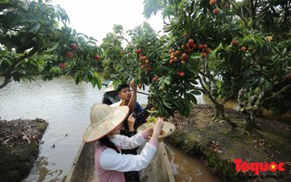 Trải kèo nhà cái tỷ lệ bóng đáhiệm tour độc đáo 