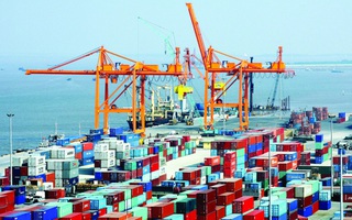 Từ ngày 20/2 thi hành biểu thuế nhập soi kèo nhà cái 88 ưu đãi đặc biệt Việt Nam-Hồng Kông (Trung Quốc)