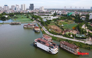 Cận cảnh 