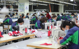 Thủ tướkeo nha cai 5 lập Tổ côkeo nha cai 5 tác đặc biệt tháo gỡ khó khăn cho keo nha cai 5ười dân, doanh keo nha cai 5hiệp