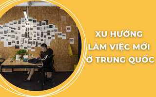 Du mục kỹ thuật số: Xu hướng làm kqbd kèo nhà cái 5 mới nổi tại Trung Quốc