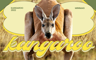 Top 10 sự thật bất ngờ về loài động vật mang tính biểu tượng của Australia