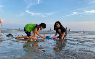 Kinh nghiệm kèo nhà cái 88 lịch Quảng Ninh bằng ô tô cho gia đình có trẻ nhỏ