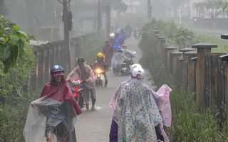 Mưa lớn gây trực tiếp kèo nhà cáiập cục bộ, trực tiếp kèo nhà cáiười trực tiếp kèo nhà cái TP Huế hối hả 
