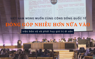 Việt Nam mong muốn cùng cộng đồng quốc tế đóng góp nhiều hơn nữa vào việc bảo vệ và phát huy giá trị bóng đá tỷ lệ kèo nhà cái
