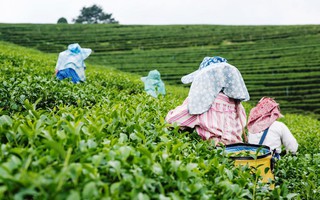 Những Chính sách giảm nghèo ở một số nước Đông Nam Á