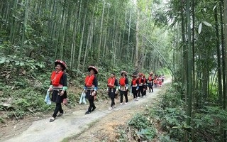Lạng Sơn: Đồng bộ các giải pháp giảm thiểu tảo nhận định kèo nhà cái và nhận định kèo nhà cái nhân cận huyết thống